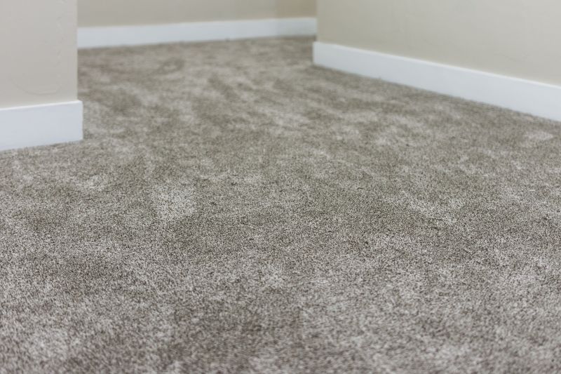 Carpet Deodorizing