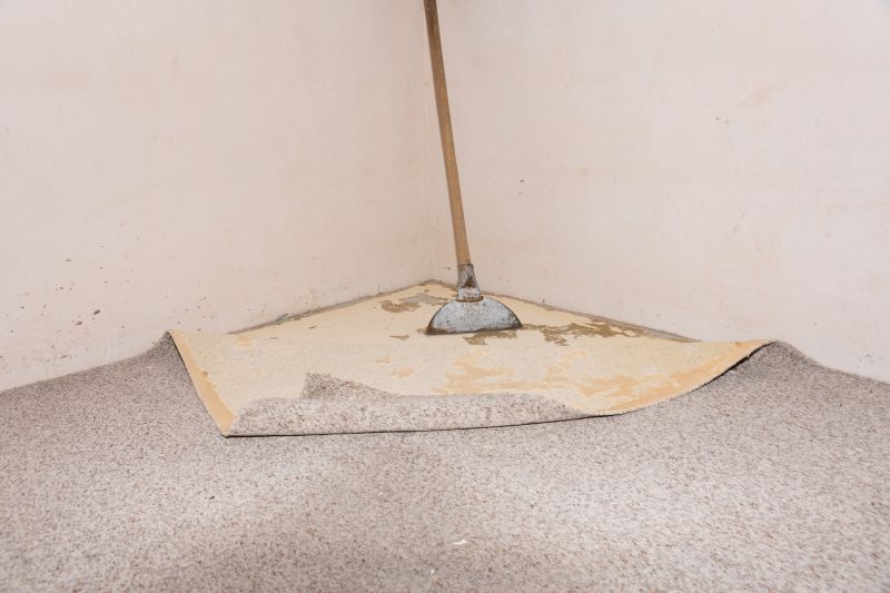 Carpet Foam Replacement in Overland Park, KS