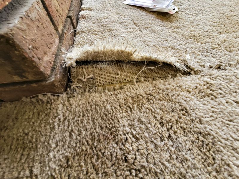Carpet Smoothing in Alpharetta, GA