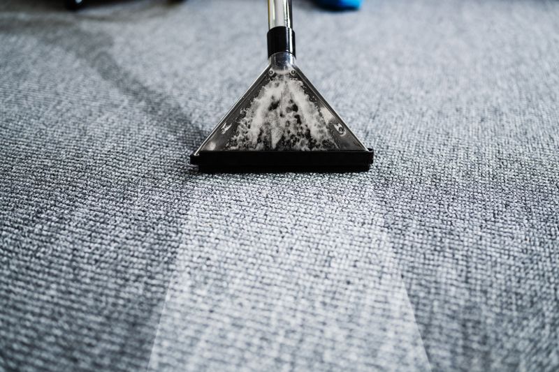 Removing Stains And Odors From Carpets And Rugs