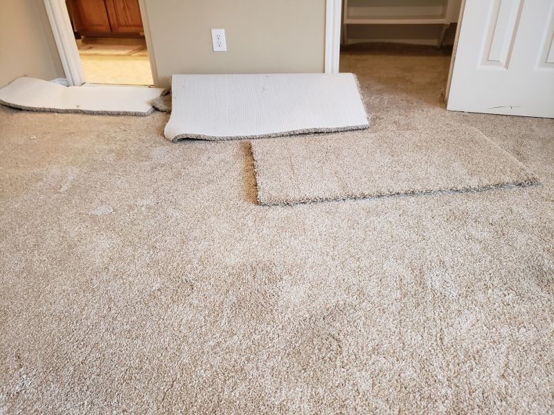 Residential Carpet Repair in Overland Park, KS