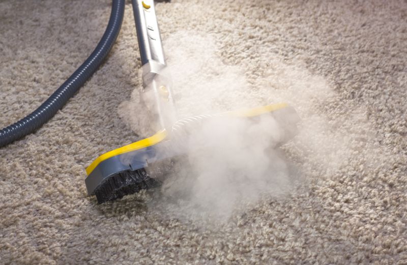 Steam Cleaning Vs Dry Carpet Cleaning Explained
