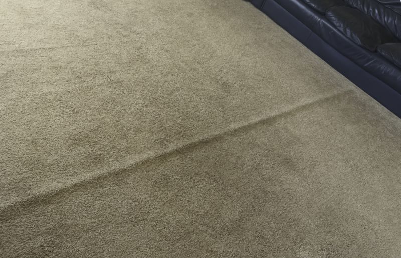 Carpet Foam Replacement in Littleton, CO